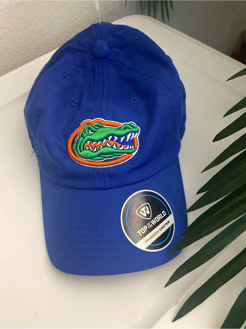 Top of the World Royal Blue Florida Gators Hat